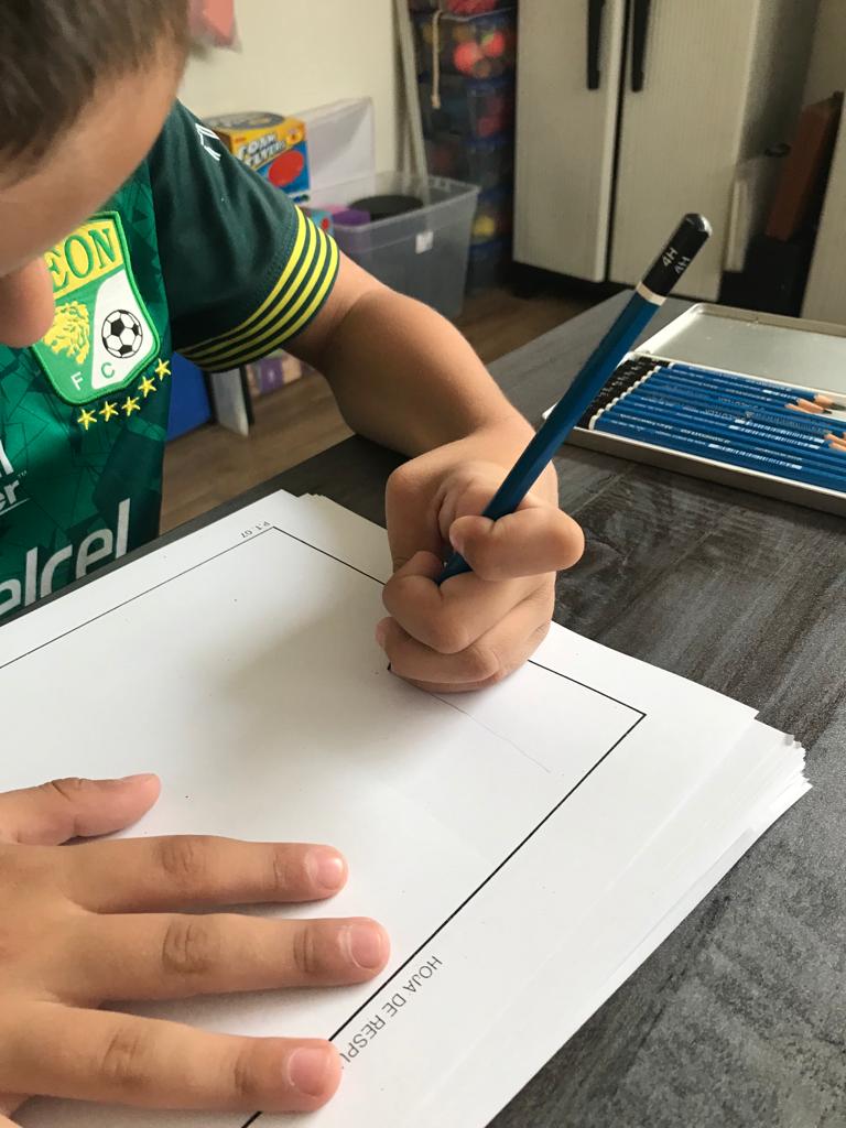 Alteraciones práxicas de la escritura: disgrafía.